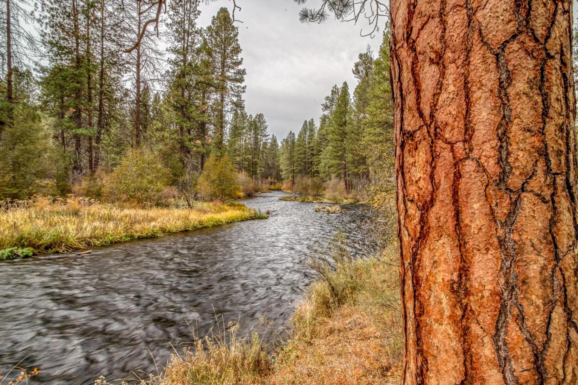 Shields Shalet Villa Black Butte Ranch Екстериор снимка