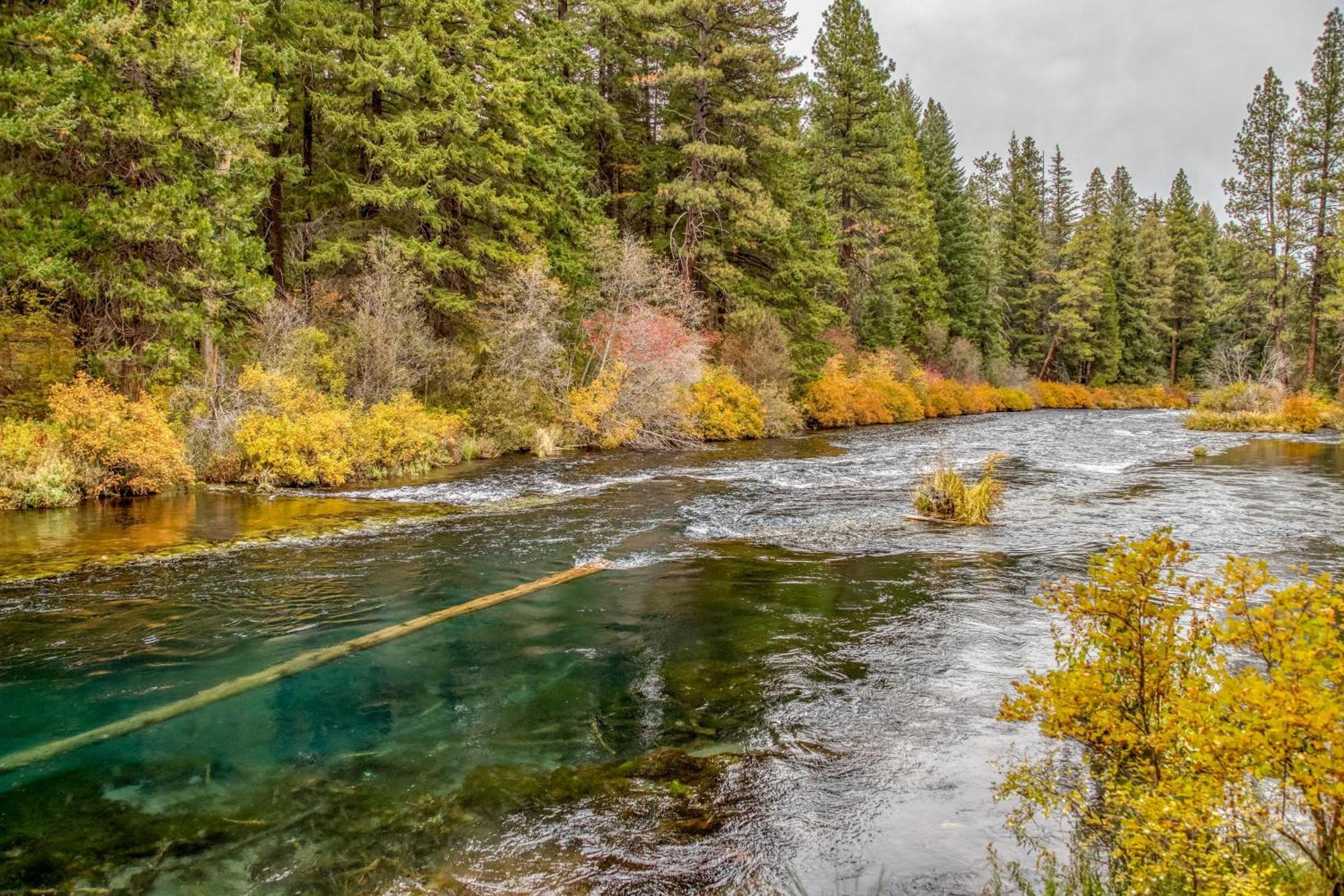 Shields Shalet Villa Black Butte Ranch Екстериор снимка