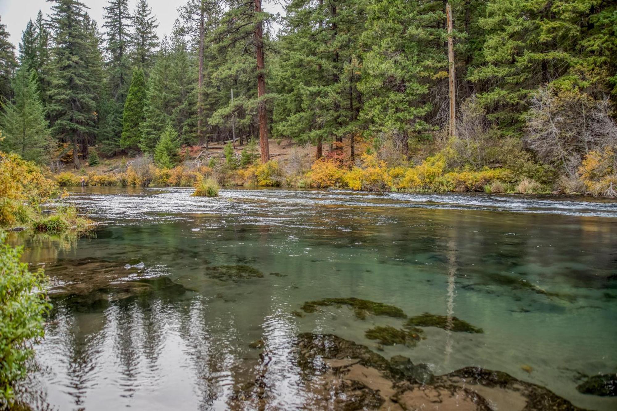 Shields Shalet Villa Black Butte Ranch Екстериор снимка