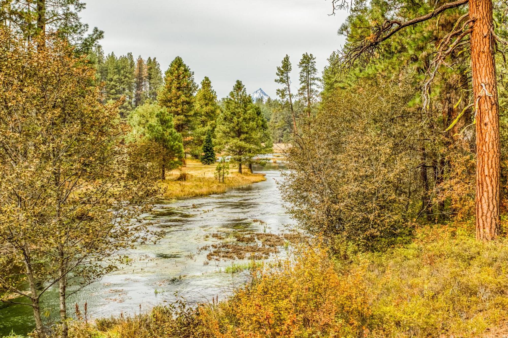 Shields Shalet Villa Black Butte Ranch Екстериор снимка